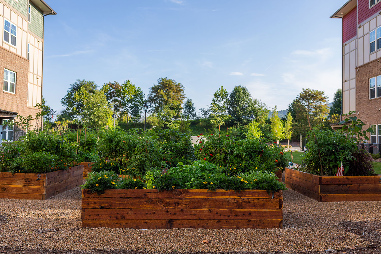 Raised garden bed at Givens Gerber Park