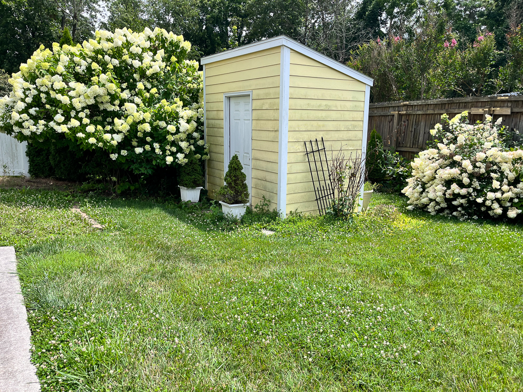 200 Prospect Street exterior shed