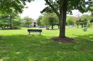 Green community space at Linden Green Apartments