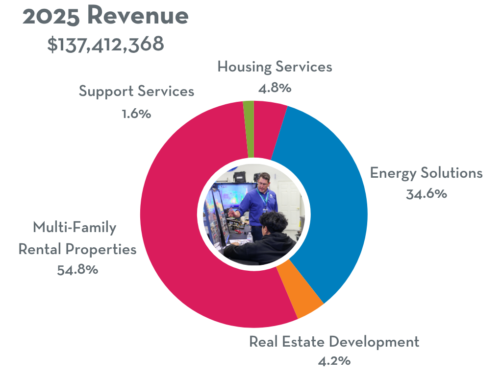 2025 revenue pie chart